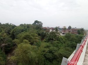 Teror Kawanan Monyet yang Bikin Resah Kampung Cimerak Tasik Teror Kawanan Monyet yang Bikin Resah Kampung Cimerak Tasik