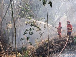 2 Hektare Hutan Perhutani di Tulungagung Terbakar