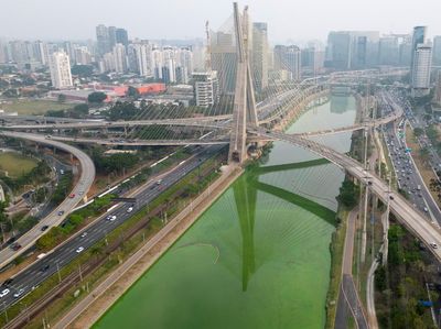 Kekeringan Bikin Sungai di Brasil Berubah Hijau