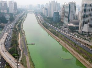 Fenomena Aneh di Brasil, Ada Sungai Berubah Warna Jadi Hijau Fenomena Aneh di Brasil, Ada Sungai Berubah Warna Jadi Hijau