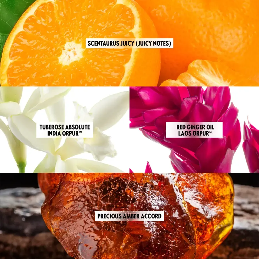 Koleksi parfum terbaru dari Putri Marino