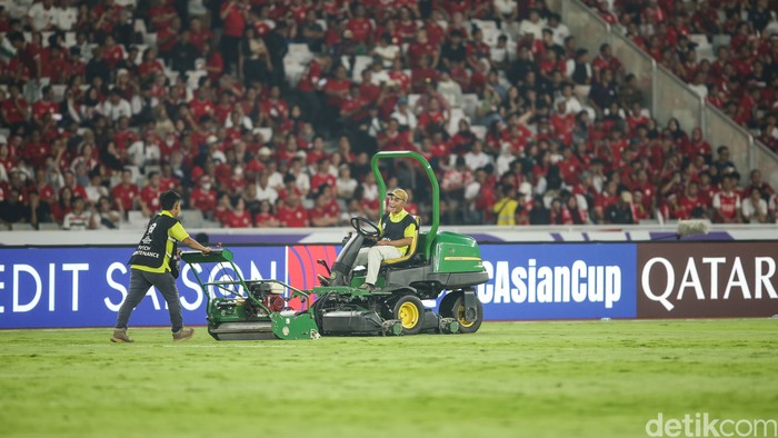 Petugas mempersiapkan rumput saat laga Indonesia vs Australia Grup C Kualifikasi Piala Dunia 2026 di Stadion Utama Gelora Bung Karno (SUGBK), Jakarta, Selasa (10/9/2024).