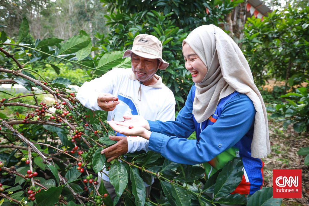 PT Pertamina Hulu Kalimantan Timur (PHKT) membantu golongan petani kopi lokal di Prangat Baru, Marangkayu, Kutai Kartanegara, membangun wilayah setempat menjadi area edukasi dan wisata (eduwisata).