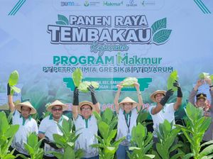 Petrokimia Gresik-Djarum Sukses Genjot Hasil Panen Tembakau di Grobogan