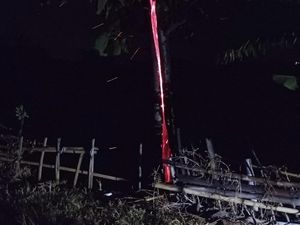 3 Kejadian Pohon Terbakar Misterius di Jabar, Ini Kata Pakar 3 Kejadian Pohon Terbakar Misterius di Jabar, Ini Kata Pakar