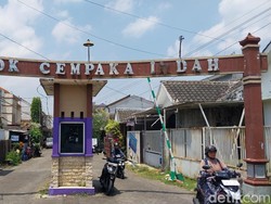 12 Kucing yang Mati Massal di Sukun Kota Malang Diduga Diracun