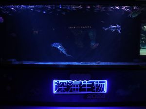 Kehidupan Seks Hewan-hewan Laut Dipamerkan di Akuarium Ini Kehidupan Seks Hewan-hewan Laut Dipamerkan di Akuarium Ini