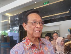 Harapan Sultan HB X ke Prabowo-Gibran