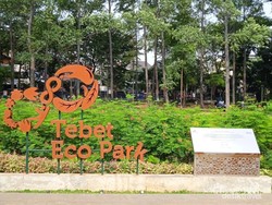 Tebet Eco Park, Kombinasi Sempurna antara Alam dan Rekreasi