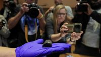 Batu Meteor Langka Ditemukan di Afrika Selatan, Ini Potretnya
