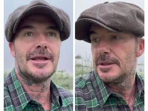 Makin Cinta Berkebun, David Beckham Absen Koleksi Tanaman di Rumahnya Makin Cinta Berkebun, David Beckham Absen Koleksi Tanaman di Rumahnya