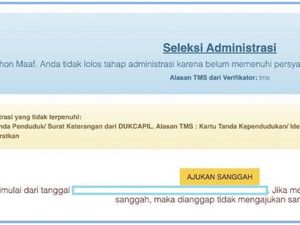 Cara Cek Pengumuman CPNS 2024 Hasil Seleksi Administrasi, Diumumkan Hari Ini! Cara Cek Pengumuman CPNS 2024 Hasil Seleksi Administrasi, Diumumkan Hari Ini!