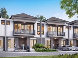 Cluster Lily Paramount Petals