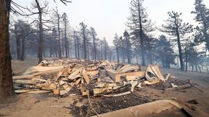 Kebakaran Hebat Hanguskan Hutan di California
