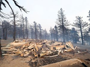 Kebakaran Hebat Hanguskan Hutan di California