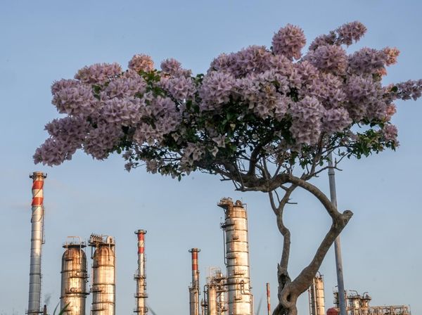 Kilang Cilacap untuk Ketahanan Energi Nasional Berkelanjutan