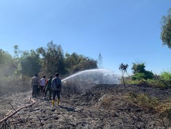Kompaknya Polisi-TNI Padamkan Kebakaran Lahan di Mojokerto