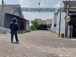 Polisi Selidiki 12 Kucing Mati Massal Diduga Diracun di Kota Malang