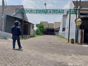 Polisi Selidiki 12 Kucing Mati Massal Diduga Diracun di Kota Malang Polisi Selidiki 12 Kucing Mati Massal Diduga Diracun di Kota Malang