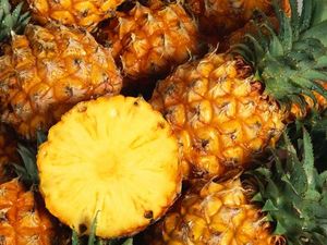 Makan Nanas Jangan Asal Campur, Ini 5 Bahan yang Harus Dihindari Makan Nanas Jangan Asal Campur, Ini 5 Bahan yang Harus Dihindari