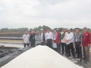 Pemkab Cirebon Dorong Pengembangan Garam Industri