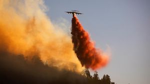 Potret Pesawat Berjuang Padamkan Kebakaran Hutan California
