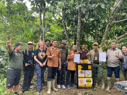 Beruang Madu yang Tangannya Diamputasi Dilepasliarkan di TN Gunung Leuser