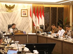 Wamentan Bicara Food Estate dan Cetak Sawah di Rakor Kemenko Perekonomian