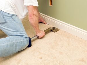 Tips Hilangkan Bekas Pipis Anabul di Karpet, Cukup Pakai 2 Bahan Saja! Tips Hilangkan Bekas Pipis Anabul di Karpet, Cukup Pakai 2 Bahan Saja!