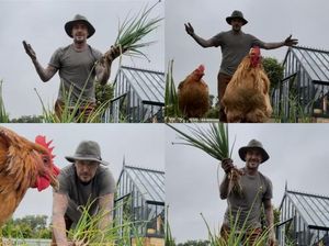 David Beckham Berkebun dan Berternak Nikmati Pensiun David Beckham Berkebun dan Berternak Nikmati Pensiun