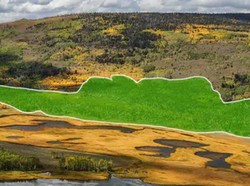 Gema Suara Makhluk Tertua di Bumi