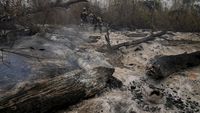 Kebakaran Hebat Melahap Hutan di Bolivia