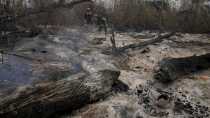 Kebakaran Hebat Melahap Hutan di Bolivia