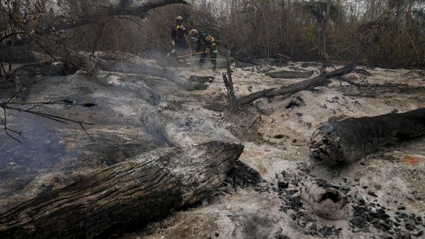 Kebakaran Hebat Melahap Hutan di Bolivia