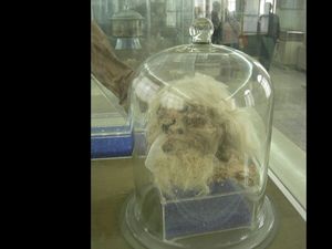 Penampakan Mumi Manusia Garam Iran yang Mati Menderita