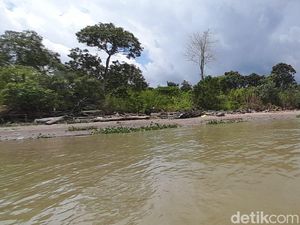 5 Fakta Pulau Maut dan Pulau Cinta di Sungai Musi 5 Fakta Pulau Maut dan Pulau Cinta di Sungai Musi