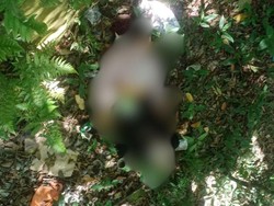 Geger Mayat Wanita Muda Ditemukan di Hutan Pacet Mojokerto