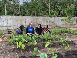 Ibu-ibu Ini Sulap Tanaman Obat Jadi Produk Herbal, Cuan Jutaan Per Bulan