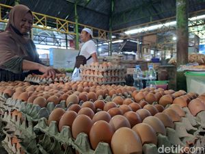 Harga Telur-Daging di Lombok Merangkak Naik Jelang Maulid Nabi Harga Telur-Daging di Lombok Merangkak Naik Jelang Maulid Nabi