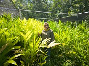 Pinang Batara, Awalnya Cuma Sampah Kini Diekspor sampai ke Eropa