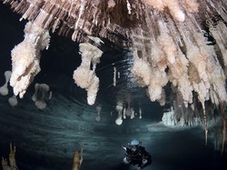 Jembatan Bawah Laut Ungkap Jejak Permukiman Kuno 6.000 Tahun Lalu