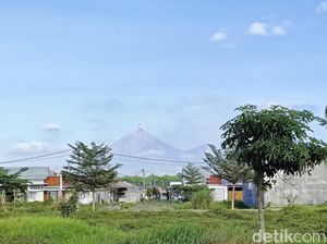 Gunung Semeru Erupsi dengan Ketinggian Letusan Abu 500 Meter