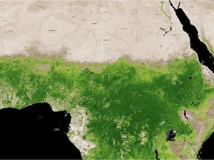 Menguak Penyebab Gurun Sahara Kini Menghijau Menguak Penyebab Gurun Sahara Kini Menghijau