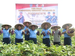 Pangkoopsudnas Panen Bersama di Lanud Atang Sendjaja: Dukung Ketahanan Pangan