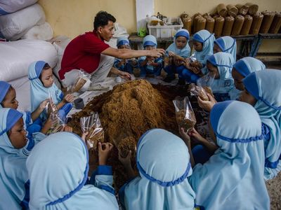 Gemasnya Murid TK di Batam Belajar Cara Budi Daya Jamur