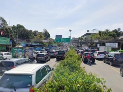 Video: Libur Natal, One Way Arah Puncak Diterapkan Pagi Ini