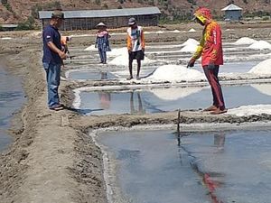 Fenomena Tanah Retak Muncul Lagi di Bima Fenomena Tanah Retak Muncul Lagi di Bima