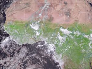 Gurun Sahara Mulai Menghijau, Kenapa Ya?