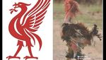 Meme Mohamed Salah KW Usai Jeda Internasional