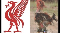 Usai jeda internasional, kekalahan langsung dialami Liverpool. Padahal sebelum itu si Merah justru melumat Manchester United. Foto: dok. Internet/X (Twitter)